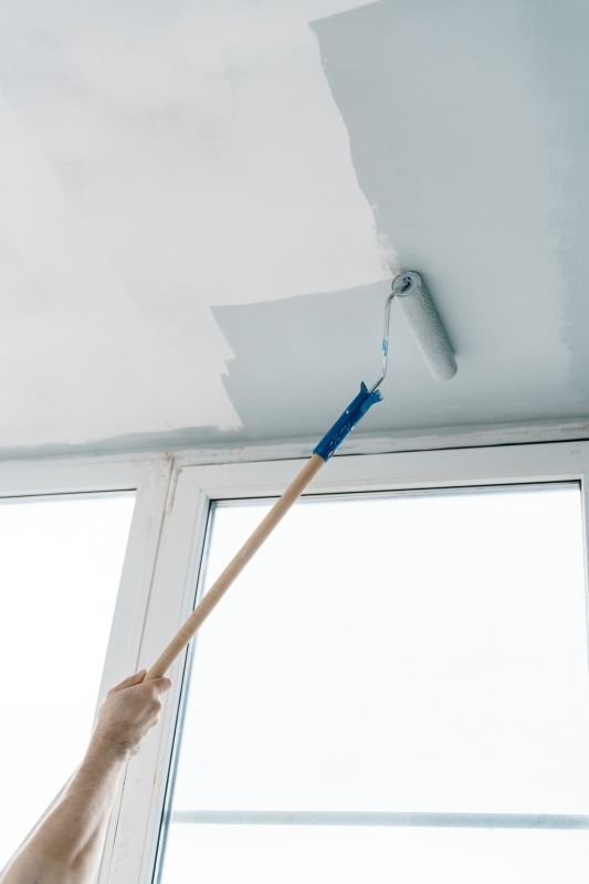 Bathroom Ceiling Painting