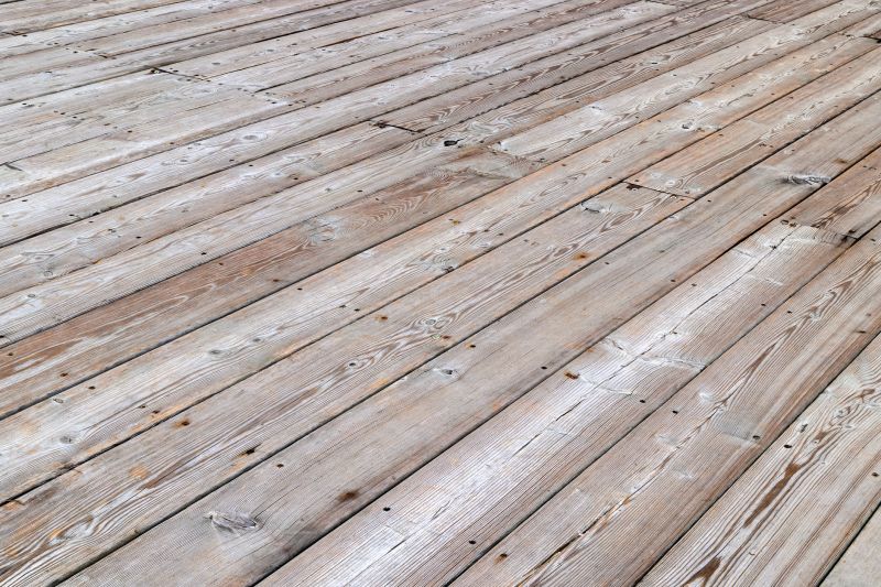Deck Paint Stripping detail