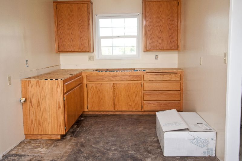 Oak Kitchen Cabinet Painting