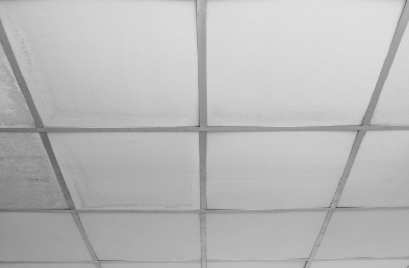 Stipple Ceiling Repair Service